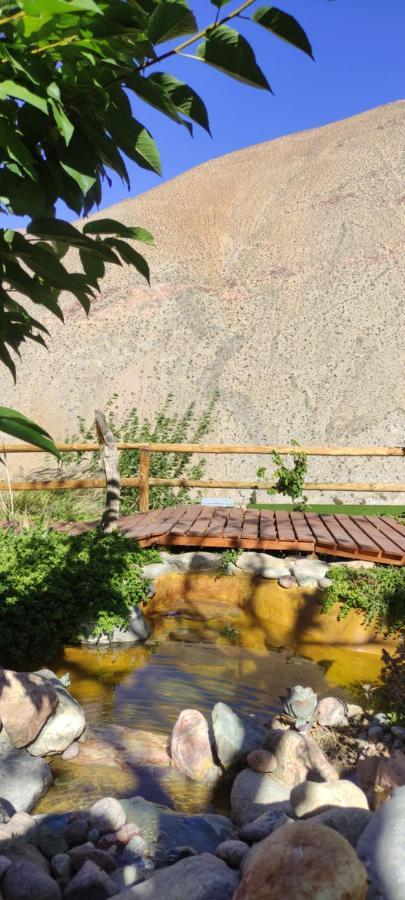 Casa Jardin De Hadas Con Vista Panoramica Pisco Elqui Exterior foto